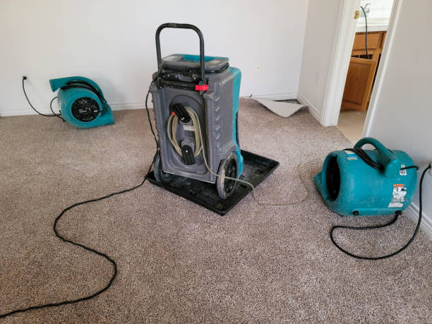 Best Water damage contractors near me  in Springfield, MI