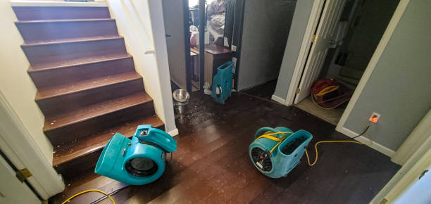 Best Commercial water damage restoration  in Springfield, MI