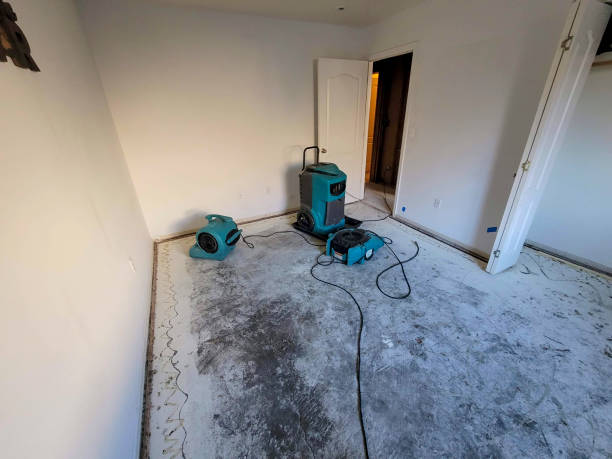 Best Professional water damage repair  in Springfield, MI