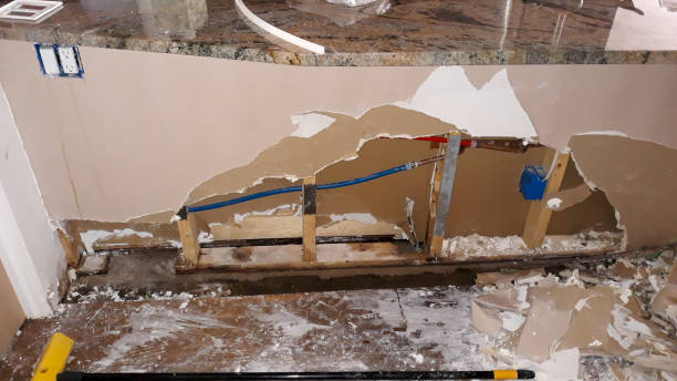 Best Flood damage cleanup  in Springfield, MI