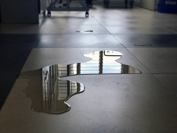 Best Carpet water damage restoration  in Springfield, MI