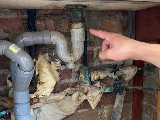 Best Flood restoration services  in Springfield, MI