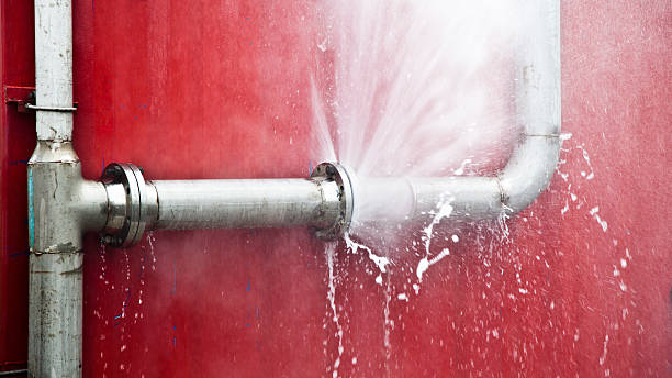 Best Flood damage cleanup  in Springfield, MI