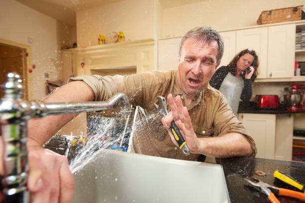 Best Professional water damage repair  in Springfield, MI